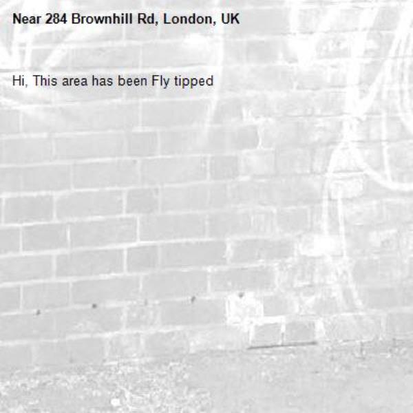 Hi, This area has been Fly tipped-284 Brownhill Rd, London, UK