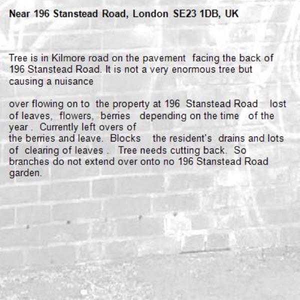 Tree is in Kilmore road on the pavement  facing the back of 196 Stanstead Road. It is not a very enormous tree but causing a nuisance

over flowing on to  the property at 196  Stanstead Road    lost of leaves,  flowers,  berries   depending on the time   of the year .  Currently left overs of 
the berries and leave.  Blocks    the resident's  drains and lots of  clearing of leaves .   Tree needs cutting back.  So branches do not extend over onto no 196 Stanstead Road garden.-196 Stanstead Road, London SE23 1DB, UK