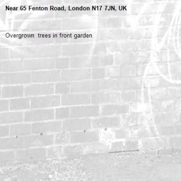Overgrown  trees in front garden-65 Fenton Road, London N17 7JN, UK
