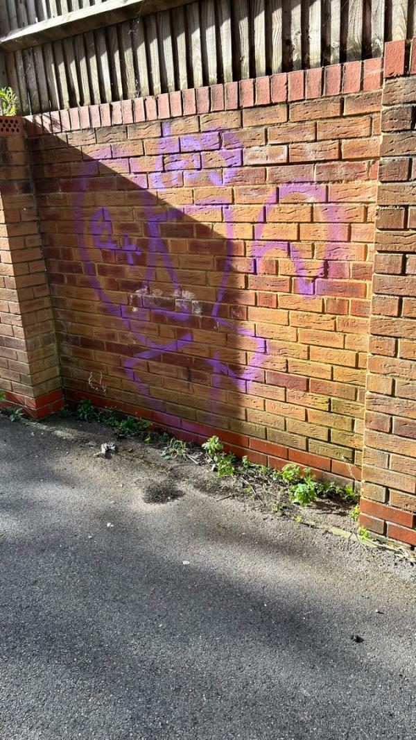 Graffiti on wall and lamppost, and on side of house in alleyway adjacent to 3 Aspen Grove, Aldershot. -1 Aspen Grove, Aldershot, GU12 4EU