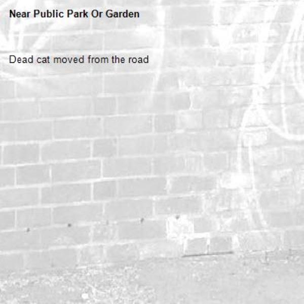 Dead cat moved from the road -Public Park Or Garden
