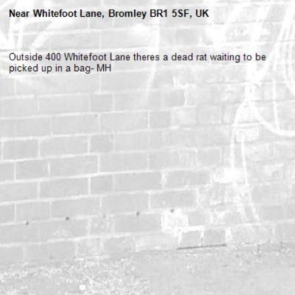 Outside 400 Whitefoot Lane theres a dead rat waiting to be picked up in a bag- MH-Whitefoot Lane, Bromley BR1 5SF, UK