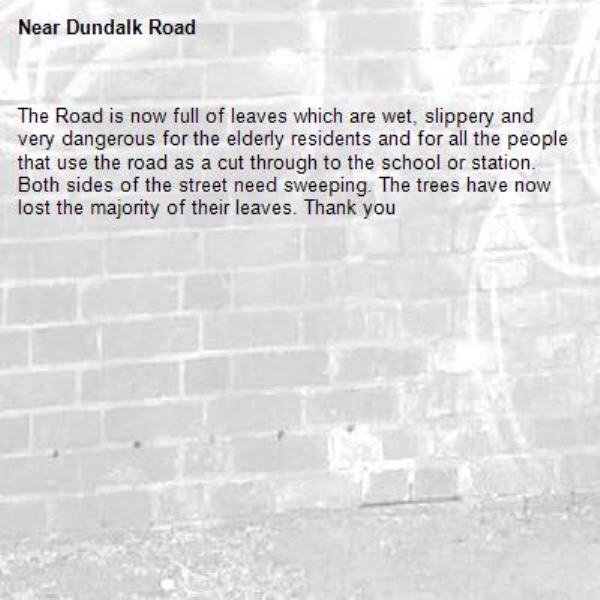 The Road is now full of leaves which are wet, slippery and very dangerous for the elderly residents and for all the people that use the road as a cut through to the school or station. Both sides of the street need sweeping. The trees have now lost the majority of their leaves. Thank you
-Dundalk Road