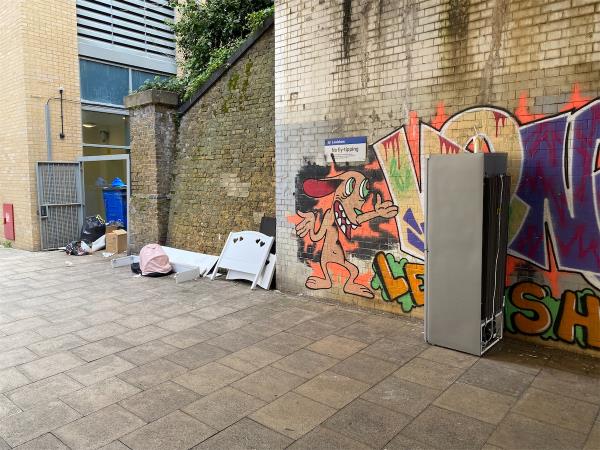 Hi, more flytipping under the bridge. Fridge freezer and pieces of furniture. Great if you can work your magic :)-Flat 1, Da Vinci Torre, 77 Loampit Vale, Lewisham, London, SE13 7FA