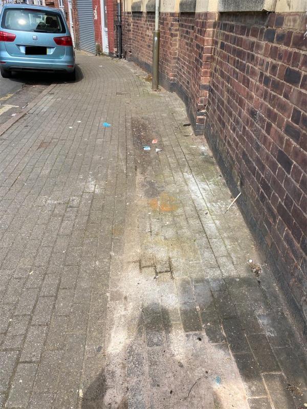 Needs cleaning -Flat 1, 86 Percival Street, Leicester, LE5 3NQ