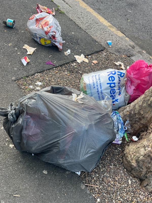 4 bags of household waste -1B, Masterman Road, East Ham, London, E6 3NR