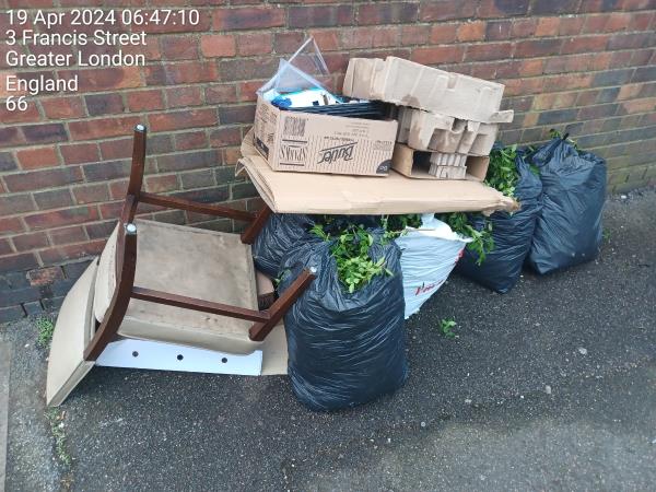 AS USUAL,  ON THE PAVEMENT NEXT TO THE BINS...TENANT CUT DOWN GARDEN & DUMPED IT ON PAVEMENT AS WELL AS FOOD WASTE FROM THE LOCAL TAKEAWAY...AS ALWAYS. -12 Francis Street, Stratford, London, E15 1JG