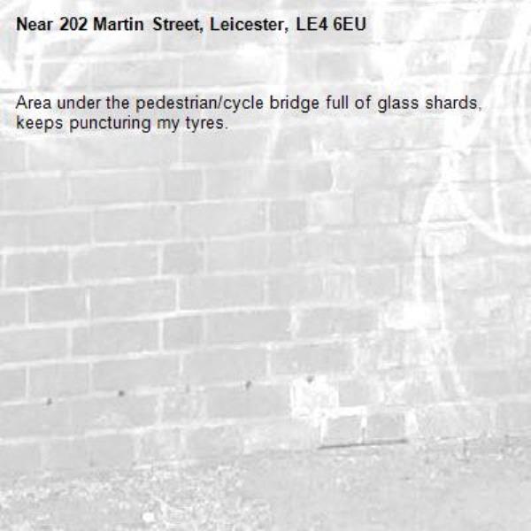 Area under the pedestrian/cycle bridge full of glass shards, keeps puncturing my tyres.-202 Martin Street, Leicester, LE4 6EU