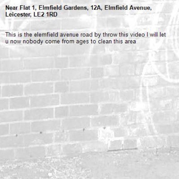 This is the elemfield avenue road by throw this video I will let u now nobody come from ages to clean this area -Flat 1, Elmfield Gardens, 12A, Elmfield Avenue, Leicester, LE2 1RD