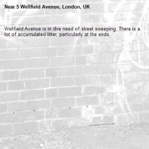 Wellfield Avenue is in dire need of street sweeping. There is a lot of accumulated litter, particularly at the ends.-5 Wellfield Avenue, London, UK