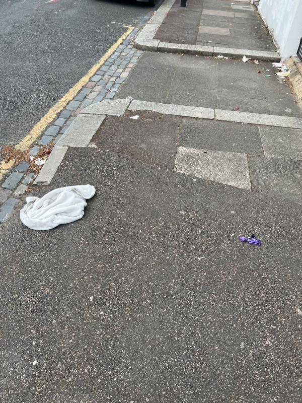 Ravenhill Road needs sweeping.-37a Ravenhill Road, Plaistow, E13 9BN
