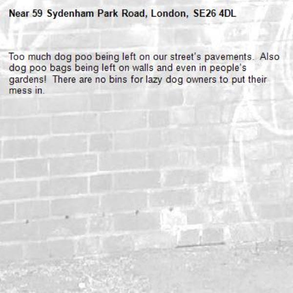 Too much dog poo being left on our street’s pavements.  Also dog poo bags being left on walls and even in people’s gardens!  There are no bins for lazy dog owners to put their mess in. -59 Sydenham Park Road, London, SE26 4DL