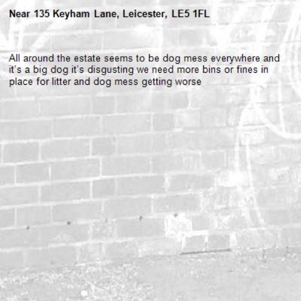 All around the estate seems to be dog mess everywhere and it’s a big dog it’s disgusting we need more bins or fines in place for litter and dog mess getting worse -135 Keyham Lane, Leicester, LE5 1FL