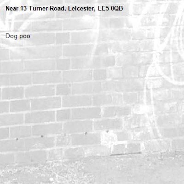 Dog poo-13 Turner Road, Leicester, LE5 0QB