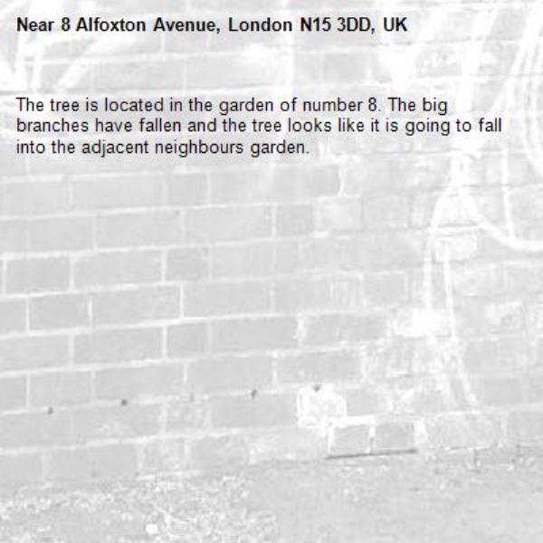 The tree is located in the garden of number 8. The big branches have fallen and the tree looks like it is going to fall into the adjacent neighbours garden.-8 Alfoxton Avenue, London N15 3DD, UK