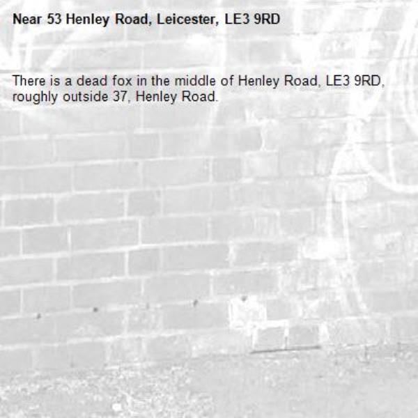 There is a dead fox in the middle of Henley Road, LE3 9RD, roughly outside 37, Henley Road.-53 Henley Road, Leicester, LE3 9RD