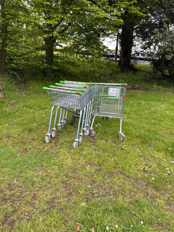 Six shopping trolley - clearly been here for some time. Can we sort ASAP please-Old Farnborough Road, Farnborough