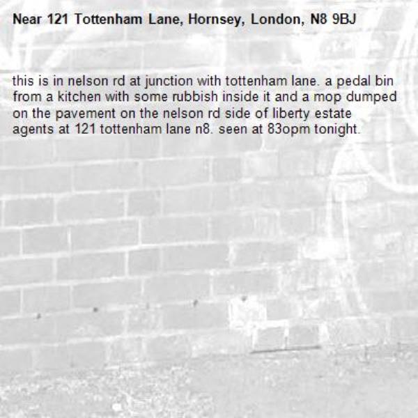 this is in nelson rd at junction with tottenham lane. a pedal bin from a kitchen with some rubbish inside it and a mop dumped on the pavement on the nelson rd side of liberty estate agents at 121 tottenham lane n8. seen at 83opm tonight. -121 Tottenham Lane, Hornsey, London, N8 9BJ