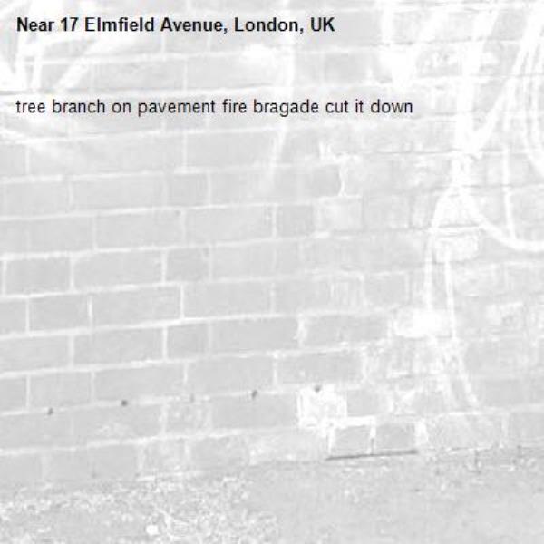 tree branch on pavement fire bragade cut it down-17 Elmfield Avenue, London, UK