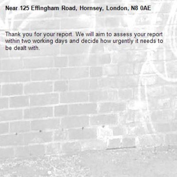 Thank you for your report. We will aim to assess your report within two working days and decide how urgently it needs to be dealt with.-125 Effingham Road, Hornsey, London, N8 0AE