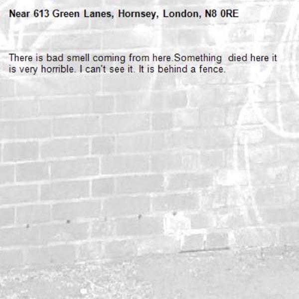 There is bad smell coming from here.Something  died here it is very horrible. I can't see it. It is behind a fence. -613 Green Lanes, Hornsey, London, N8 0RE