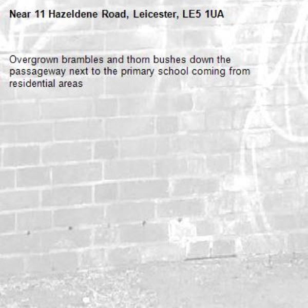 Overgrown brambles and thorn bushes down the passageway next to the primary school coming from residential areas-11 Hazeldene Road, Leicester, LE5 1UA