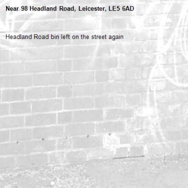 Headland Road bin left on the street again -98 Headland Road, Leicester, LE5 6AD