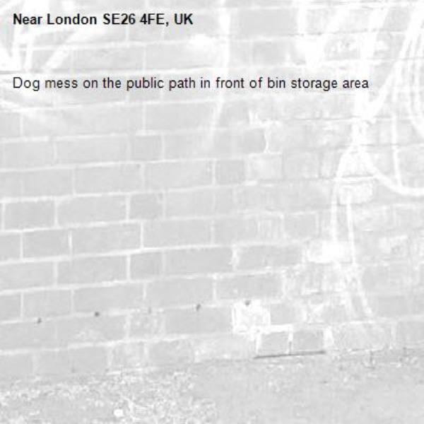 Dog mess on the public path in front of bin storage area-London SE26 4FE, UK