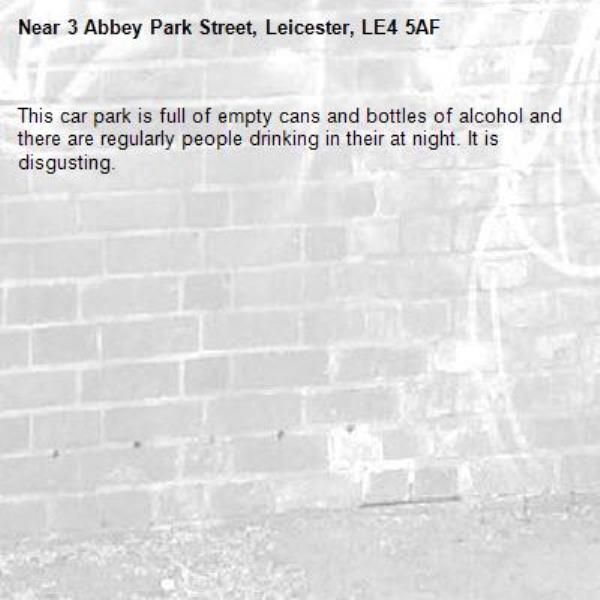 This car park is full of empty cans and bottles of alcohol and there are regularly people drinking in their at night. It is disgusting.-3 Abbey Park Street, Leicester, LE4 5AF