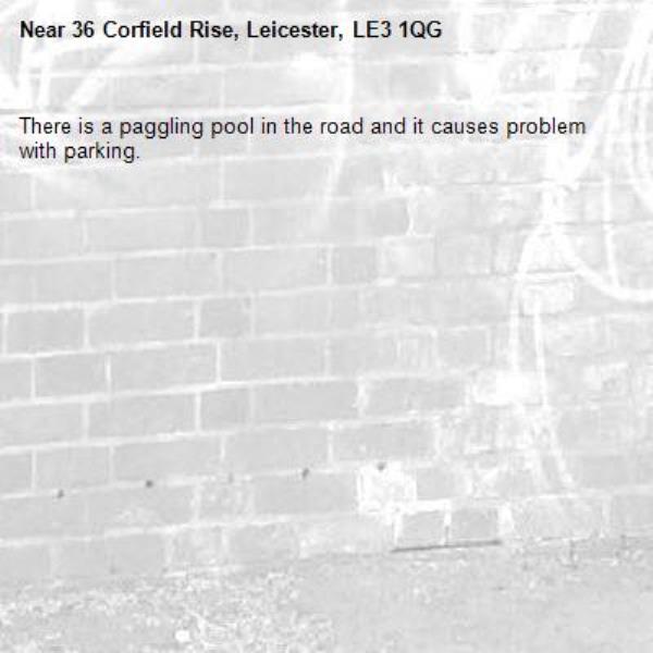 There is a paggling pool in the road and it causes problem with parking.-38 Corfield Rise, Leicester, LE3 