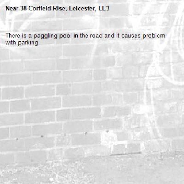 There is a paggling pool in the road and it causes problem with parking.-38 Corfield Rise, Leicester, LE3 