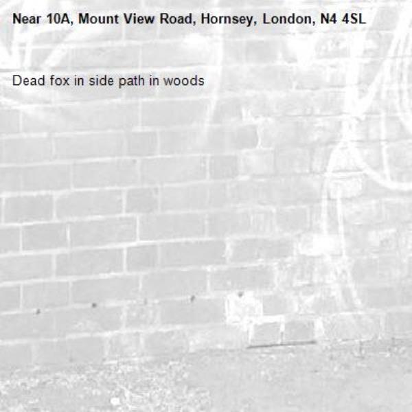Dead fox in side path in woods-10A, Mount View Road, Hornsey, London, N4 4SL