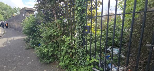 Overgrown so much. Now a dump yard for beer cans-24 Grangewood Street, East Ham, London, E6 1HA