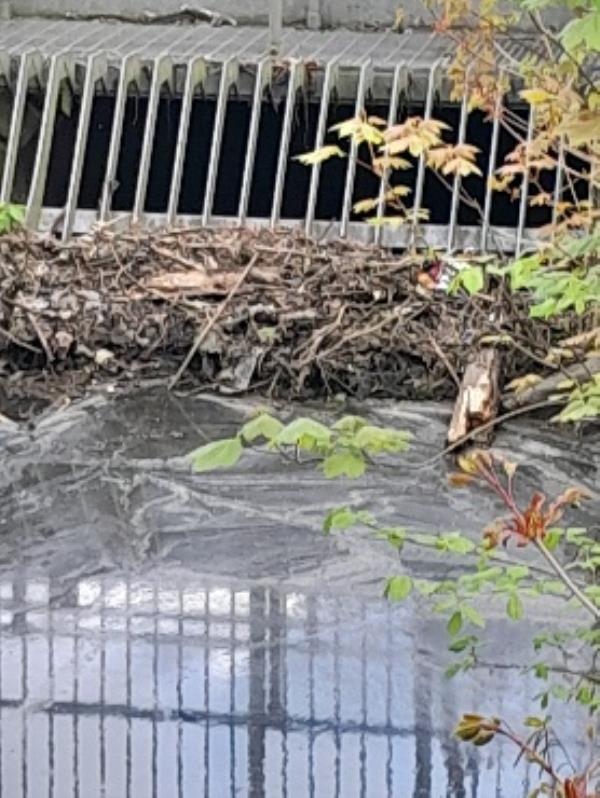 the grid in the Brook on westcotes Park is blocked it hasn't been unblocked on Friday as usual no one has been to clear it. the blockage has been caused by debury from all the rain we have had-2 Turville Road, Leicester, LE3 1NY
