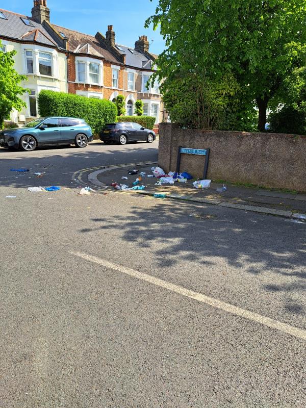 Several bags of unsorted waste including food left and then strewn about by foxes. Who has not got bins???
Saw something similar a few weeks ago and reported it -2 Birkhall Road, Catford, London, SE6 1TE