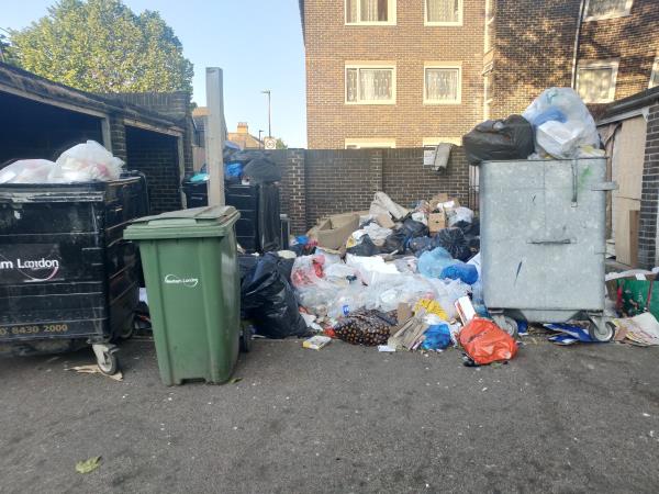 Dump-75 Pelly Road, Plaistow, London, E13 0NL