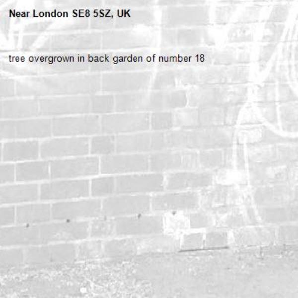 tree overgrown in back garden of number 18 -London SE8 5SZ, UK