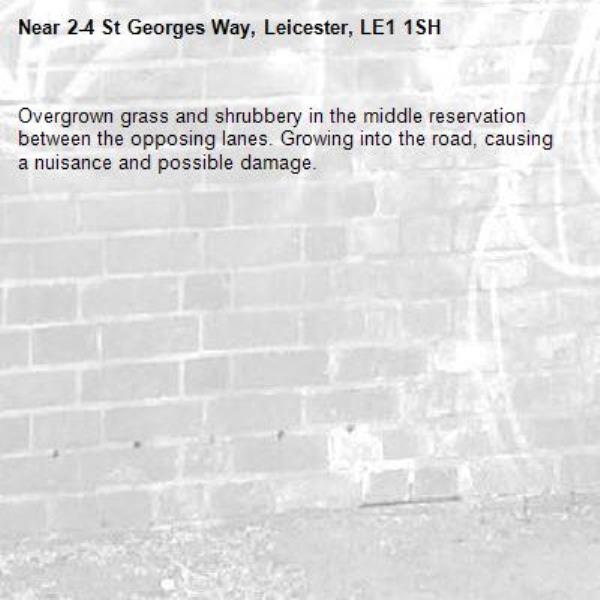 Overgrown grass and shrubbery in the middle reservation between the opposing lanes. Growing into the road, causing a nuisance and possible damage.-2-4 St Georges Way, Leicester, LE1 1SH