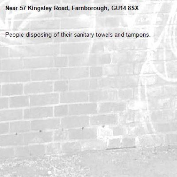 People disposing of their sanitary towels and tampons. -57 Kingsley Road, Farnborough, GU14 8SX