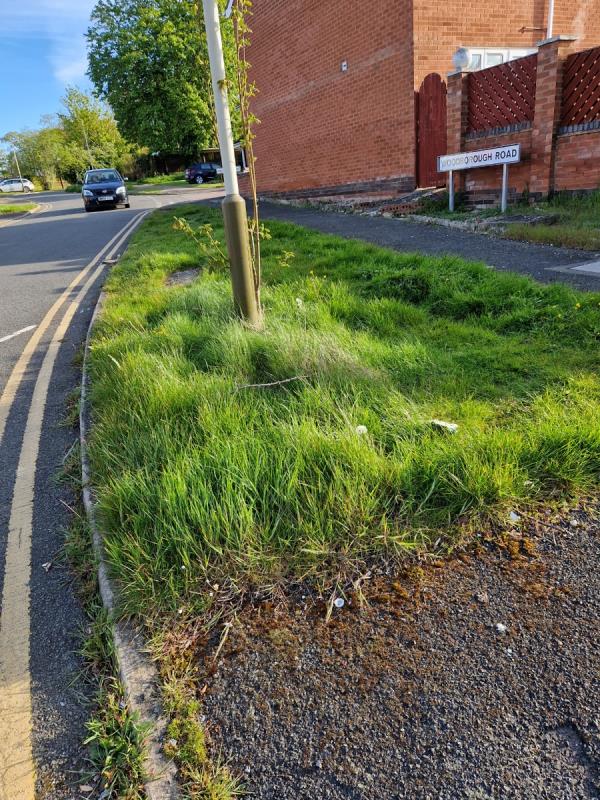 Grass has not been cut for more than a year. -7 Woodborough Road, Leicester, LE5 4LR