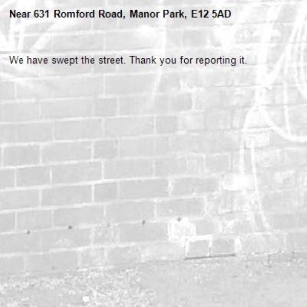 We have swept the street. Thank you for reporting it.-631 Romford Road, Manor Park, E12 5AD