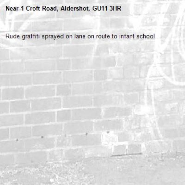 Rude graffiti sprayed on lane on route to infant school-1 Croft Road, Aldershot, GU11 3HR