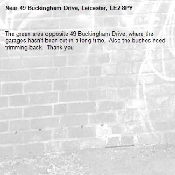 The green area opposite 49 Buckingham Drive, where the garages hasn't been cut in a long time.  Also the bushes need trimming back.  Thank you -49 Buckingham Drive, Leicester, LE2 8PY