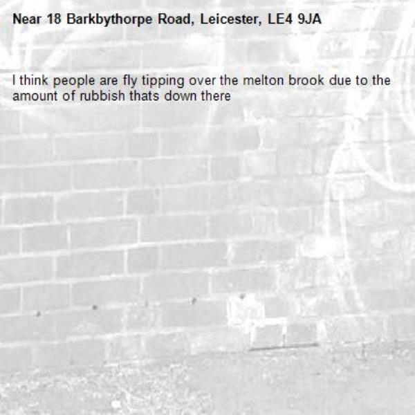I think people are fly tipping over the melton brook due to the amount of rubbish thats down there-18 Barkbythorpe Road, Leicester, LE4 9JA