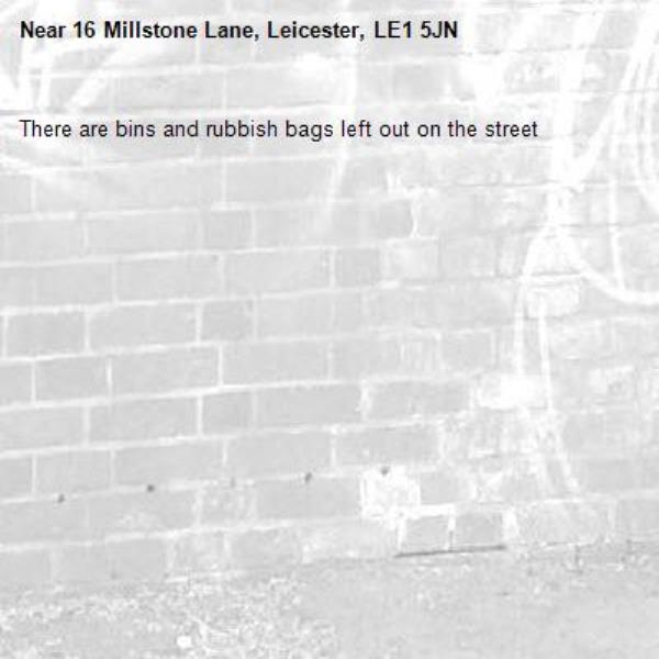 There are bins and rubbish bags left out on the street -16 Millstone Lane, Leicester, LE1 5JN