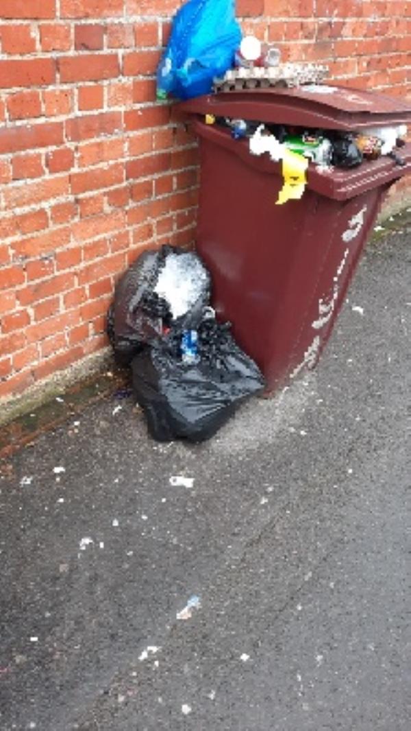 bin bags and unemployed recycling bin-2a Valentia Road, RG30 1DL, England, United Kingdom