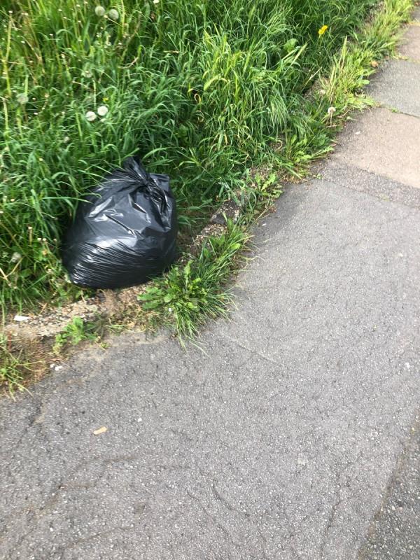 Junction of Boundfield Road. Please clear black bag from grass area-2 Hexal Road, London, SE6 1PN