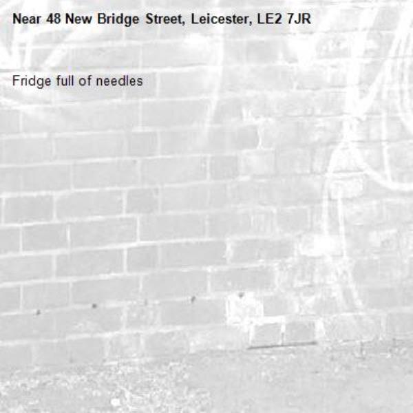 Fridge full of needles -48 New Bridge Street, Leicester, LE2 7JR
