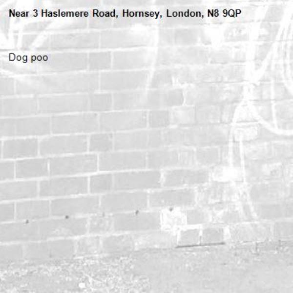 Dog poo-3 Haslemere Road, Hornsey, London, N8 9QP