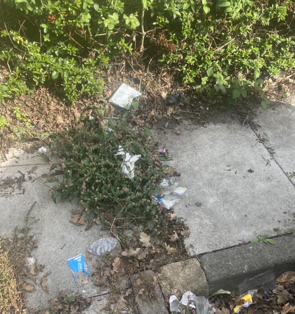 revious report job number:3083434<br/>Report states closed as obviously cleared of rubbish by street cleaners. Either your street cleaners are bad sighted or they are saying they have cleared to you but not actually completed the job MORE PHOTOS TO FOLLOW -61 Caswell Close 